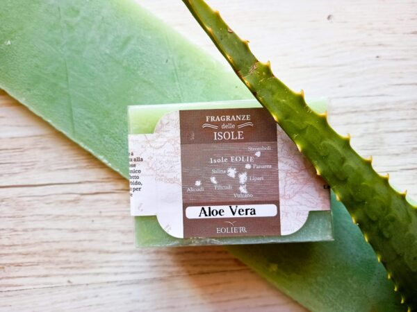 ALOE VERA 100 gr
